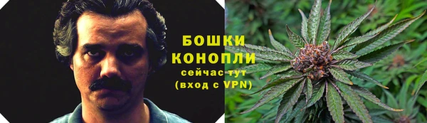 спайс Медвежьегорск